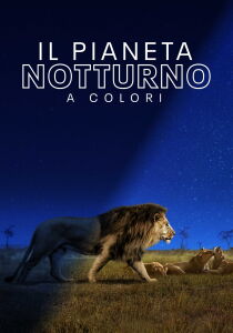 Il pianeta notturno a colori streaming