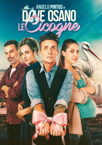 Dove osano le cicogne streaming