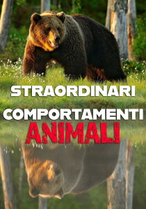 Straordinari comportamenti animali streaming